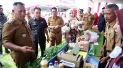 Bupati Lampung Selatan Tinjau Pelayanan Di Musrenbang Kecamatan Kalianda